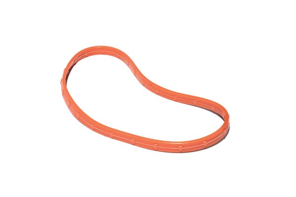 LSXR/LSXRT 102MM Throttle Body O-Ring Seal
