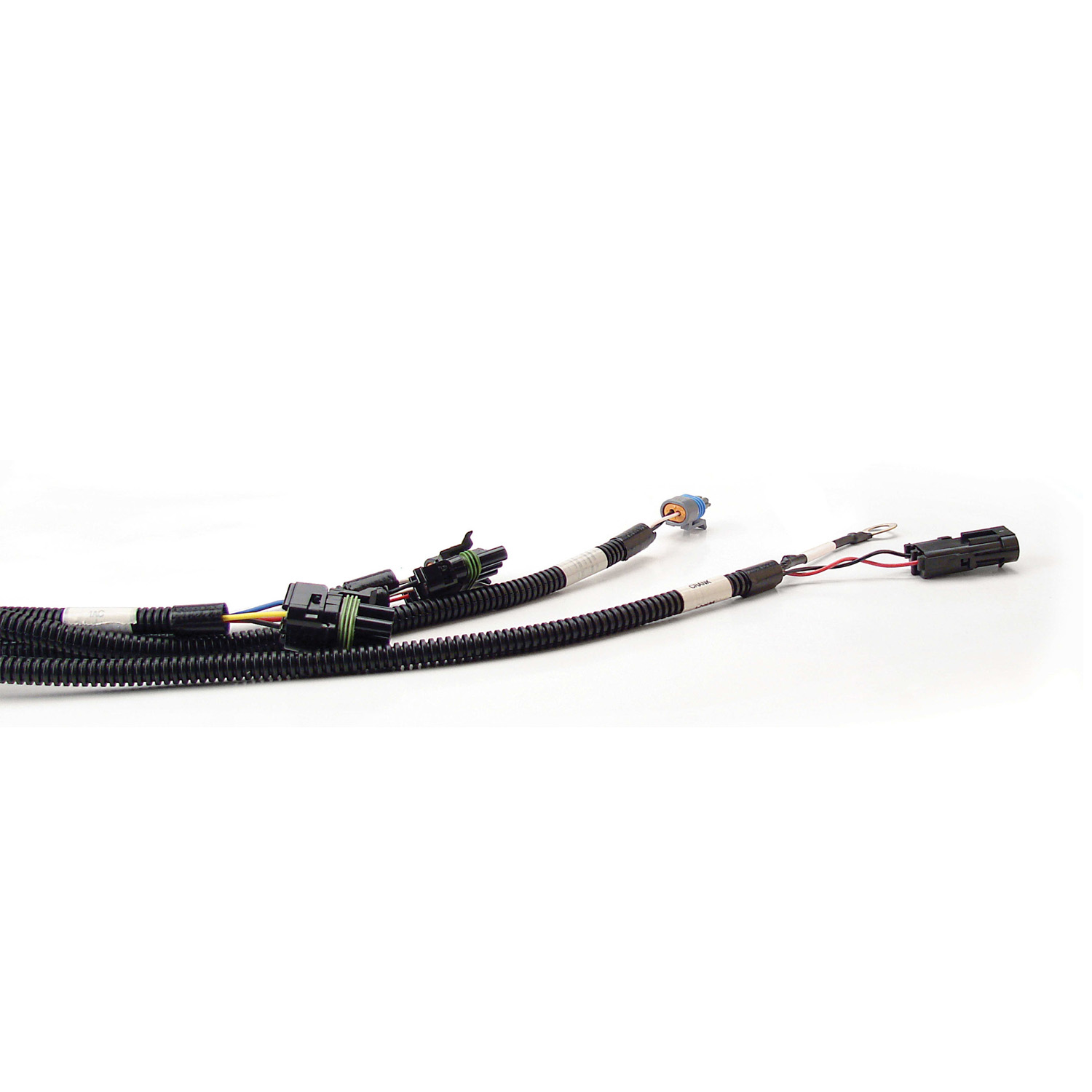 XFI Main Harnesses - GM TPI/Ford 5.0/Universal