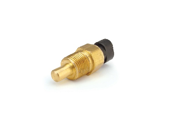 Coolant Temperature Sensor (CTS)