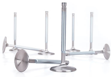 Sportsman Stainless Steel Valves; Exhaust 1.600" x 11/32 +.100 Long - Set of 8